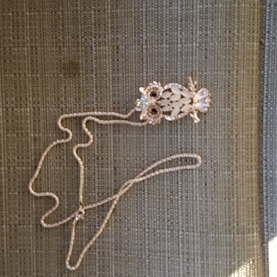 Womans Owl Necklace Gold Tone 28 Chain 35$